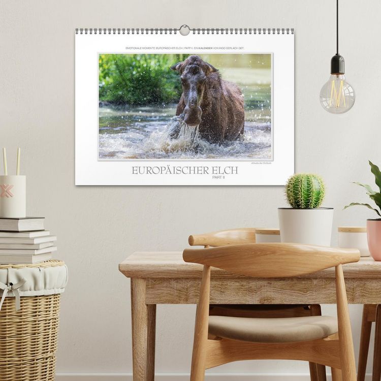 Produktbild: Emotionale Momente: Europ&auml;ischer Elch Part II (Wandkalender 2026 DIN A3 quer), CALVENDO Monatskalender