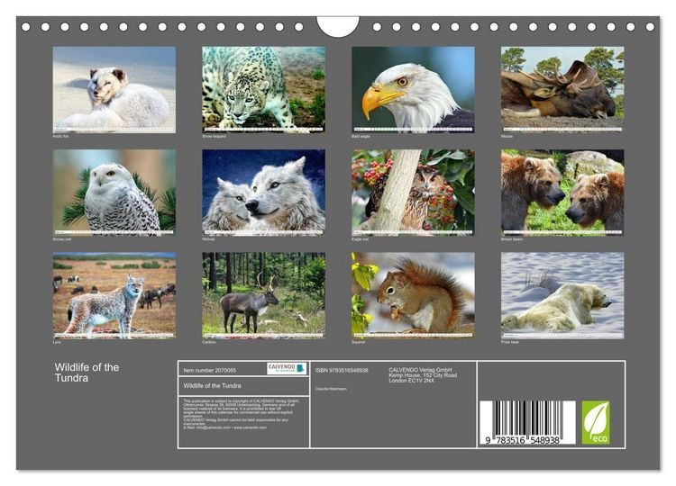 Produktbild: Wildlife of the Tundra (Wall Calendar 2026 DIN A4 landscape), CALVENDO 12 Month Wall Calendar