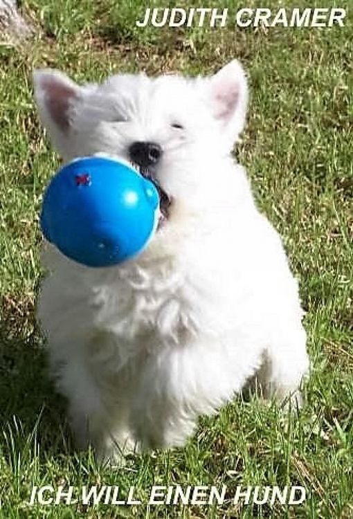 Produktbild: Ich will einen Hund