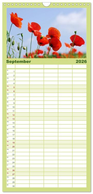 Produktbild: Familienplaner 2026 - Mohnblumen Tr&auml;ume mit 5 Spalten (Wandkalender, 21 x 45 cm) CALVENDO