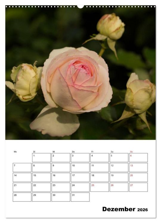 Produktbild: Zauberhafte Rosen (hochwertiger Premium Wandkalender 2026 DIN A2 hoch), Kunstdruck in Hochglanz