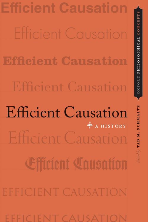 Produktbild: Efficient Causation
