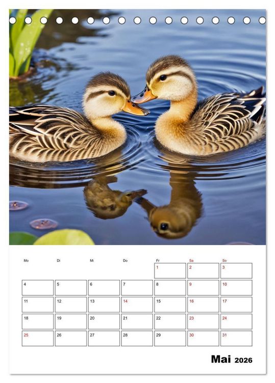 Produktbild: Mit Tieren hinein in das neue Jahr (Tischkalender 2026 DIN A5 hoch), CALVENDO Monatskalender