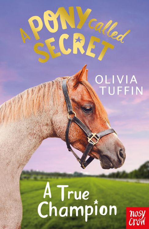 Produktbild: A Pony Called Secret: A True Champion