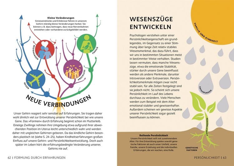 Produktbild: SIMPLY. Das Gehirn