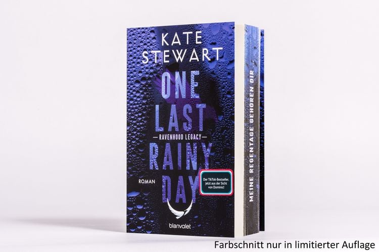 Produktbild: One Last Rainy Day