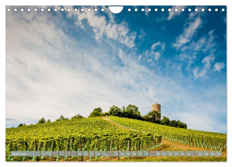 Produktbild: Kultur im Rheingau (Wandkalender 2026 DIN A4 quer), CALVENDO Monatskalender