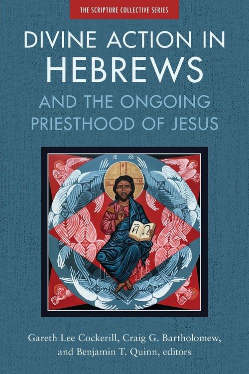 Produktbild: The Divine Action in Hebrews