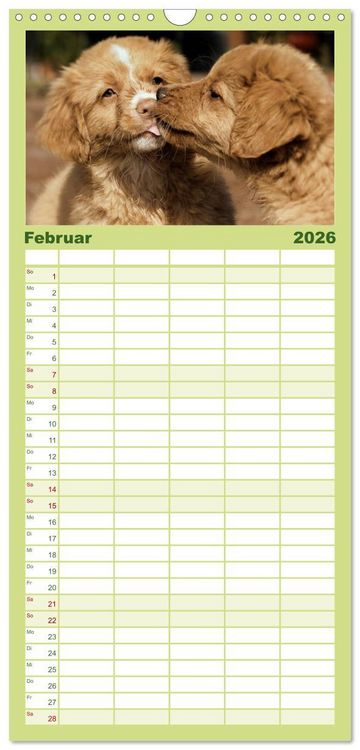Produktbild: Familienplaner 2026 - Nova Scotia Duck Tolling Retriever mit 5 Spalten (Wandkalender, 21 x 45 cm) CALVENDO