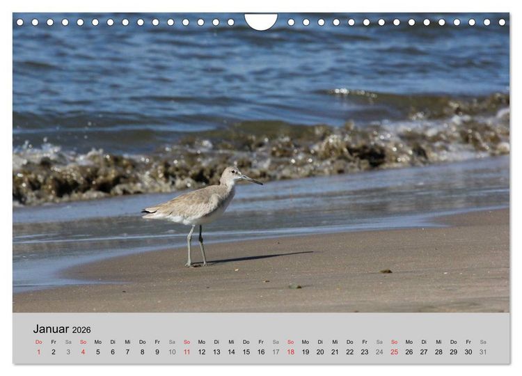 Produktbild: Costa Rica (Wandkalender 2026 DIN A4 quer), CALVENDO Monatskalender