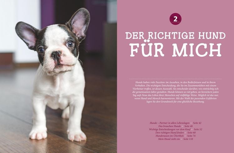 Produktbild: Praxishandbuch Hunde