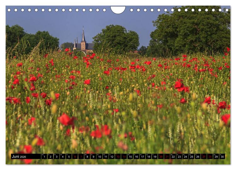 Produktbild: Augenschmaus Pfalz (Wandkalender 2026 DIN A4 quer), CALVENDO Monatskalender