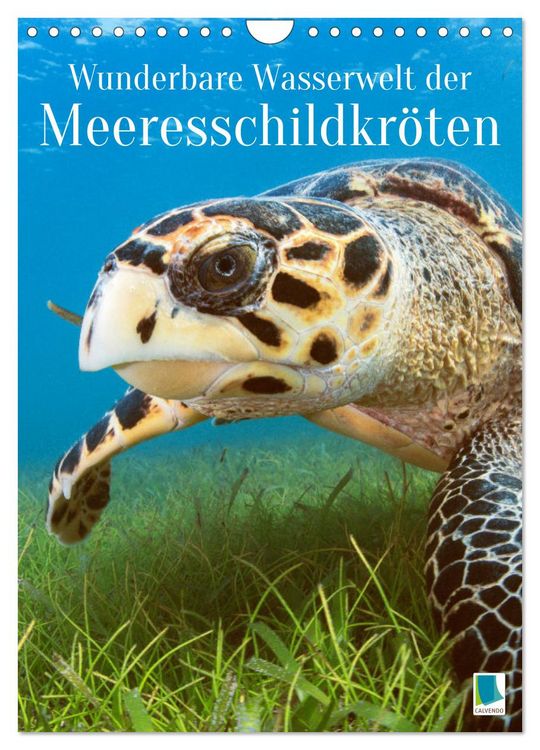 Produktbild: Wunderbare Wasserwelt der Meeresschildkr&ouml;ten (Wandkalender 2026 DIN A4 hoch), CALVENDO Monatskalender
