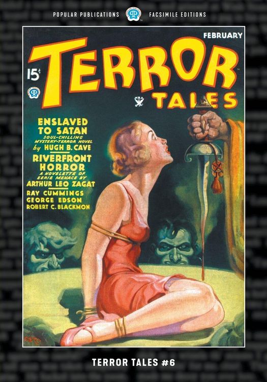 Produktbild: Terror Tales #6