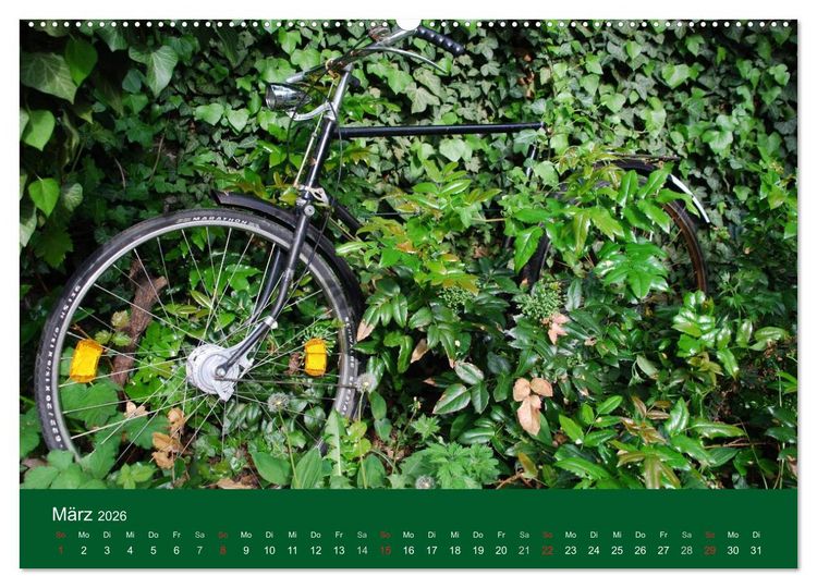 Produktbild: Das Fahrrad 2026 (hochwertiger Premium Wandkalender 2026 DIN A2 quer), Kunstdruck in Hochglanz