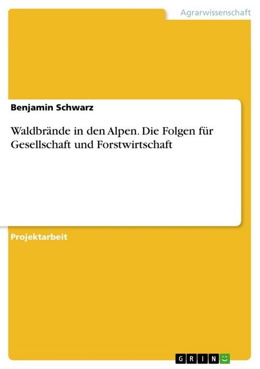 Produktbild: Waldbr&auml;nde in den Alpen. Die Folgen f&uuml;r Gesellschaft und Forstwirtschaft