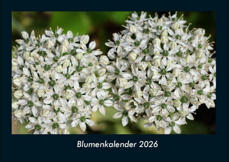 Produktbild: Blumenkalender 2026 Fotokalender DIN A4