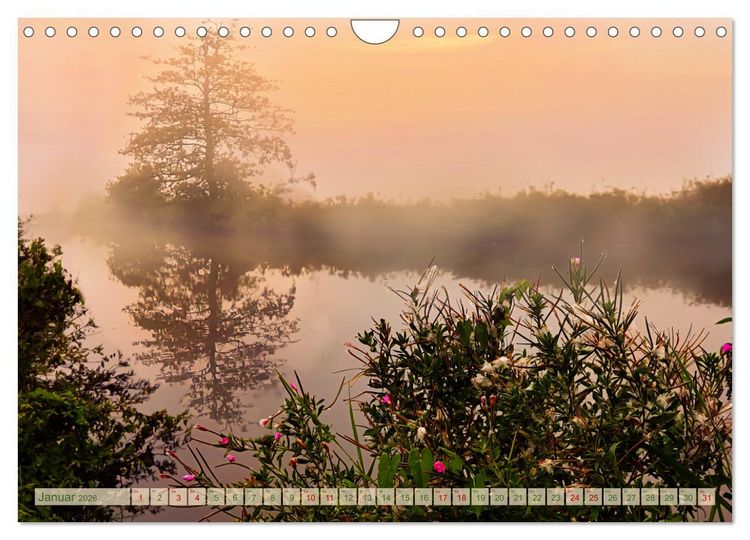 Produktbild: Morgengl&uuml;hen & Nebelschimmer (Wandkalender 2026 DIN A4 quer), CALVENDO Monatskalender