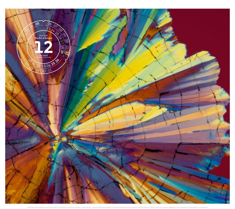 Produktbild: The Art of Science Kalender 2027 | Faszinierend-irisierende Mikroskopkunst