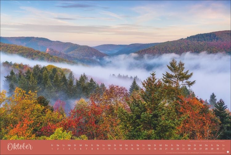 Produktbild: Zauberw&auml;lder Edition Kalender 2027