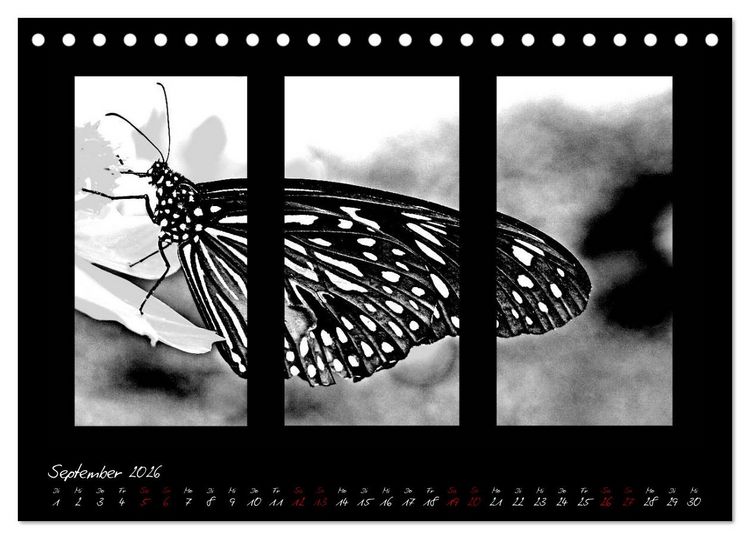 Produktbild: Die Kunst der Natur - Dreifach Stilvoll (Tischkalender 2026 DIN A5 quer), CALVENDO Monatskalender
