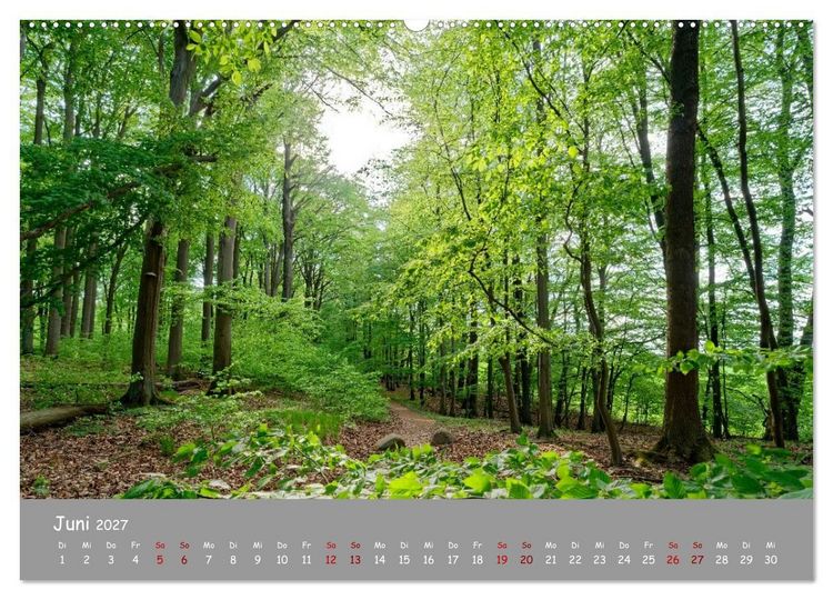 Produktbild: Biosph&auml;renreservat Schorfhede-Chorin (Wandkalender 2027 DIN A2 quer), CALVENDO Monatskalender