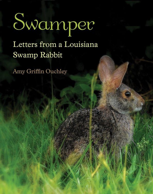 Produktbild: Swamper