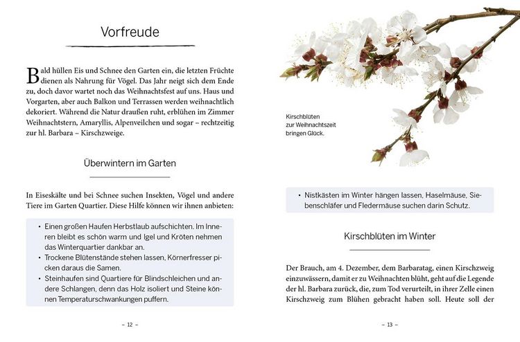 Produktbild: Das gro&szlig;e kleine Buch: Mein Garten im Winter