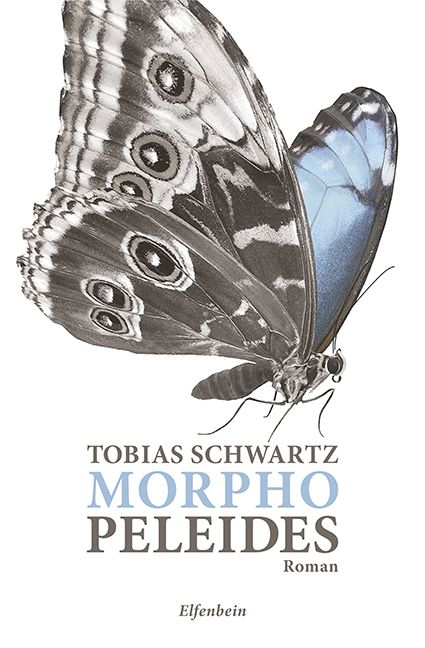 Produktbild: Morpho peleides