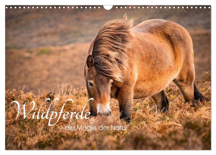 Produktbild: Wildperde - die Magie der Natur (Wandkalender 2026 DIN A3 quer), CALVENDO Monatskalender