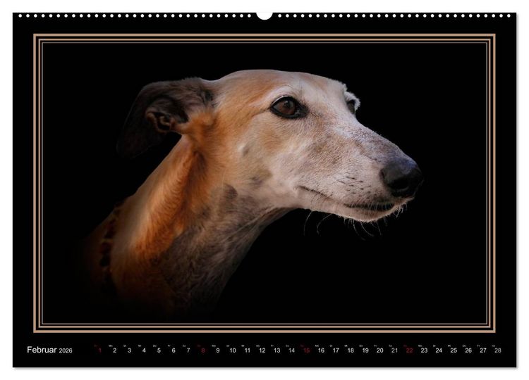 Produktbild: Galgo Espa&ntilde;ol 2026- Der spanische Windhund (hochwertiger Premium Wandkalender 2026 DIN A2 quer), Kunstdruck in Hochglanz