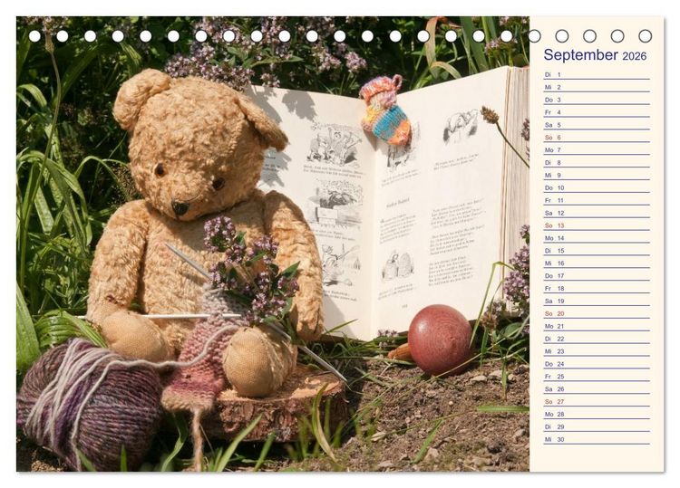 Produktbild: Geliebte B&auml;ren - Teddys (Tischkalender 2026 DIN A5 quer), CALVENDO Monatskalender