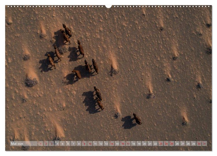 Produktbild: Mongolei - imposantes Land (hochwertiger Premium Wandkalender 2026 DIN A2 quer), Kunstdruck in Hochglanz
