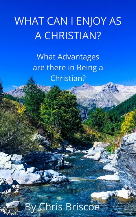 Produktbild: What Can I Enjoy as a Christian (What it means to be a Christian, #1)