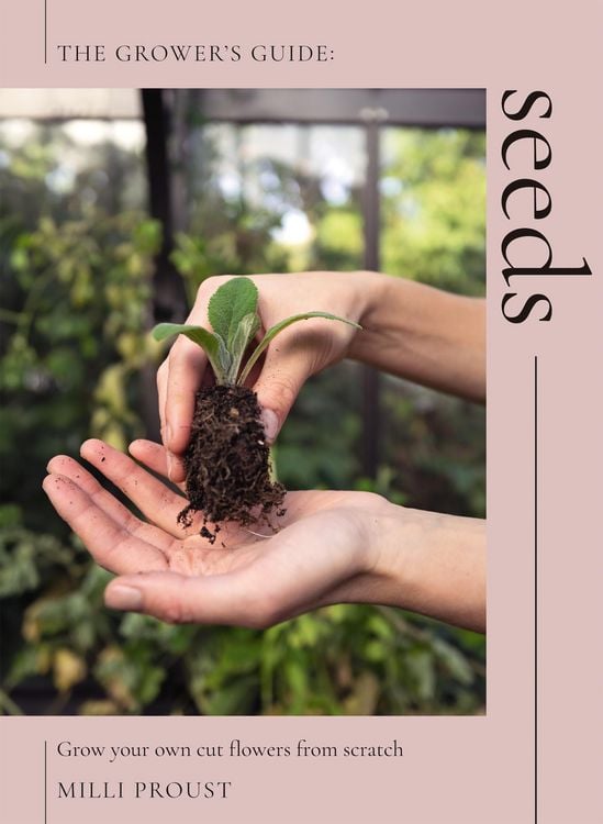 Produktbild: Seeds