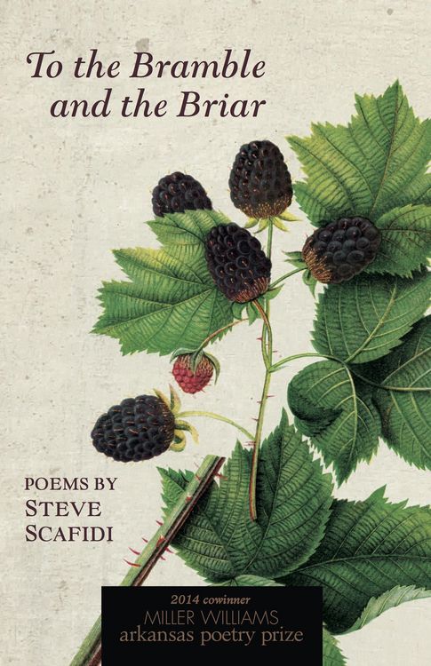 Produktbild: To the Bramble and the Briar