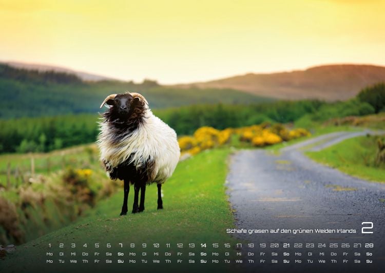 Produktbild: Irland - Die gr&uuml;ne Insel - 2027 - Kalender DIN A2