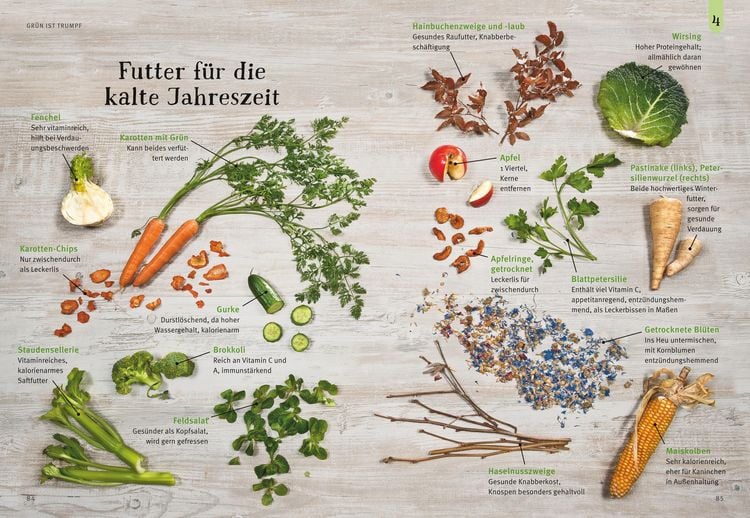 Produktbild: Liebenswerte Zwergkaninchen