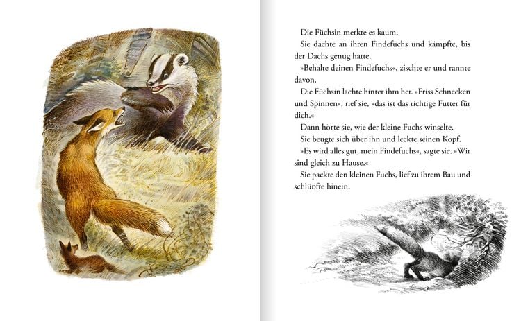 Produktbild: Der Findefuchs &ndash; Wie der kleine Fuchs eine Mutter bekam