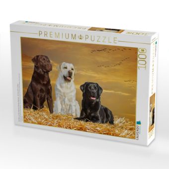 Produktbild: CALVENDO Puzzle Ein Motiv aus dem Kalender Labrador Retriever - Ein Freund f&uuml;r&acute;s Leben | 1000 Teile Lege-Gr&ouml;&szlig;e 64x48cm Foto-Puzzle f&uuml;r gl&uuml;ckliche Stun