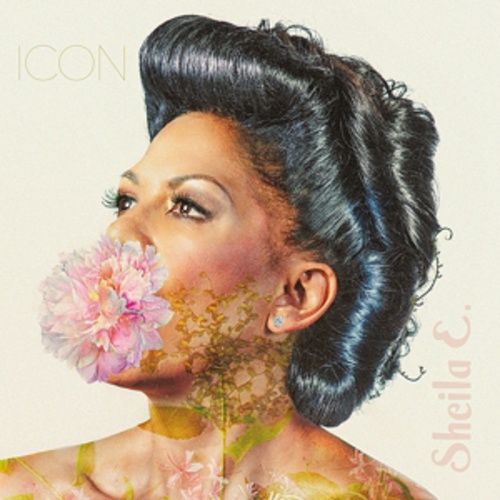 Produktbild: Icon