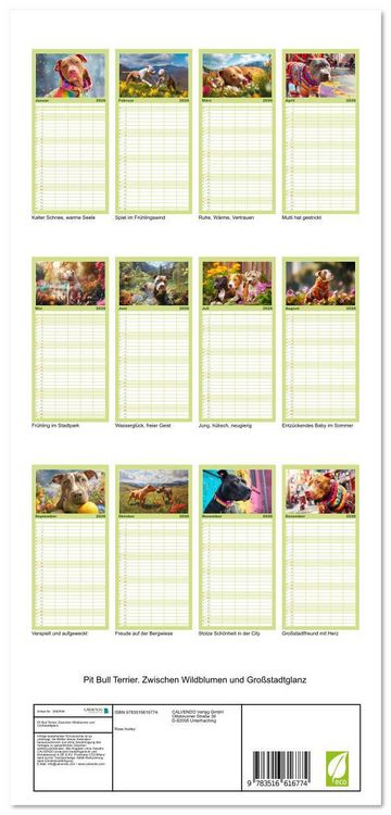 Produktbild: Familienplaner 2026 - Pit Bull Terrier. Zwischen Wildblumen und Gro&szlig;stadtglanz mit 5 Spalten (Wandkalender, 21 x 45 cm) CALVENDO