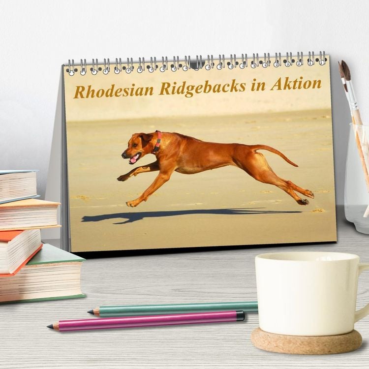 Produktbild: Rhodesian Ridgebacks in Aktion (Tischkalender 2026 DIN A5 quer), CALVENDO Monatskalender