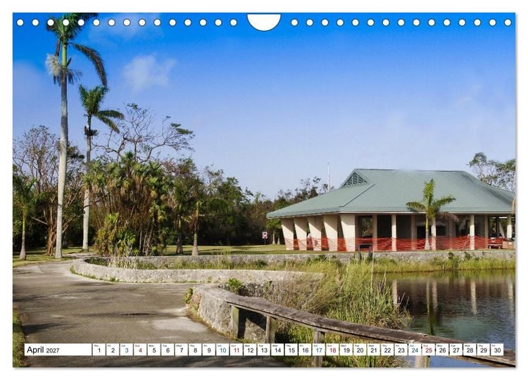 Produktbild: Sunshine State Florida Nature, Wildlife, National Parks (Wall Calendar 2027 DIN A4 landscape), CALVENDO 12 Month Wall Calendar
