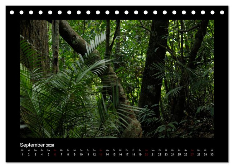 Produktbild: SUMATRA Abenteuer Regenwald (Tischkalender 2026 DIN A5 quer), CALVENDO Monatskalender