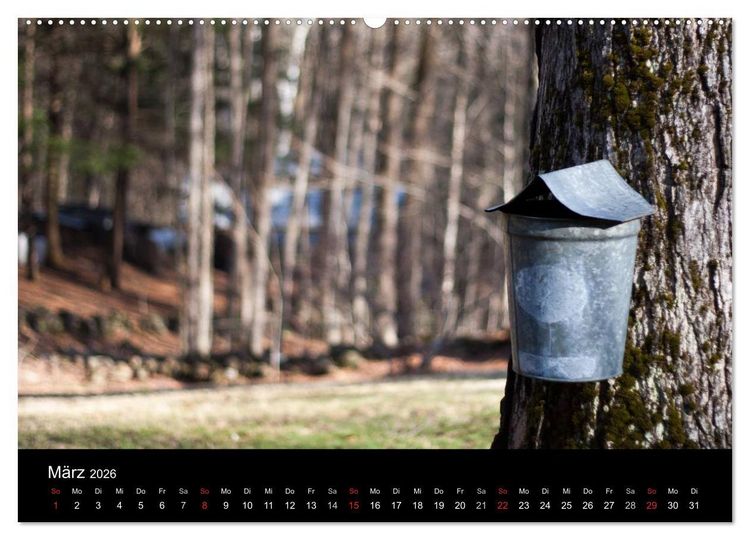 Produktbild: Neu England (Wandkalender 2026 DIN A2 quer), CALVENDO Monatskalender