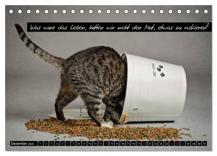 Produktbild: Der "philosophische" Katzenkalender 2026 (Tischkalender 2026 DIN A5 quer), CALVENDO Monatskalender