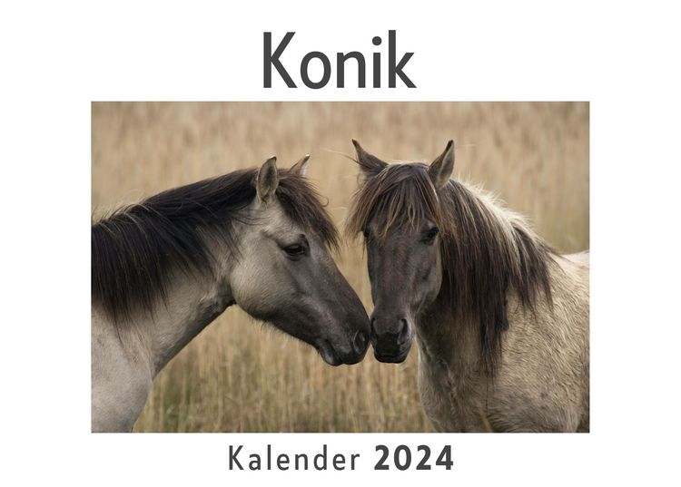 Produktbild: Konik (Wandkalender 2024, Kalender DIN A4 quer, Monatskalender im Querformat mit Kalendarium, Das perfekte Geschenk)