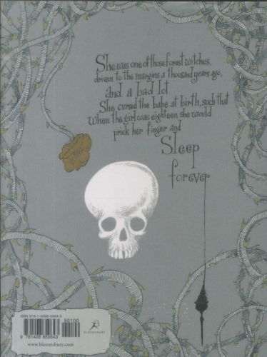 Produktbild: Gaiman, N: Sleeper and The Spindle