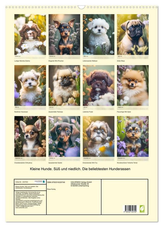 Produktbild: Kleine Hunde. S&uuml;&szlig; und niedlich. Die beliebtesten Hunderassen (Wandkalender 2026 DIN A2 hoch), CALVENDO Monatskalender